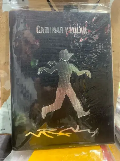 Mr Fly Caminar y Volar 